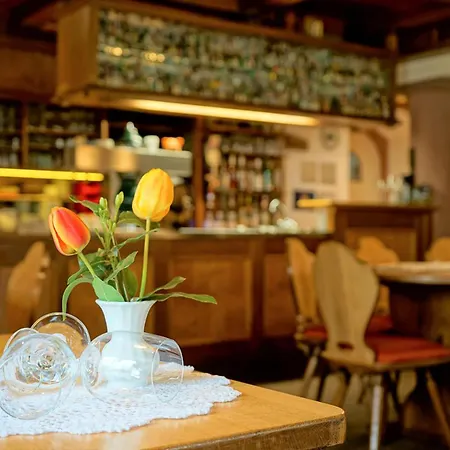 Historisches Genusshotel Loewen Penzion
