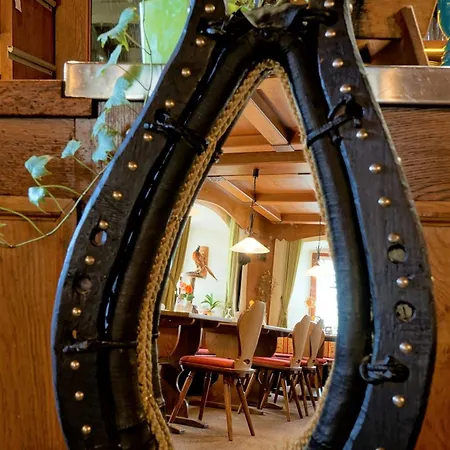Historisches Genusshotel Loewen Penzion