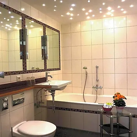 Historisches Genusshotel Loewen 3* שופהיים