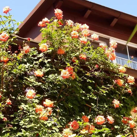 Historisches Genusshotel Loewen 宾馆