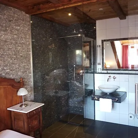 Historisches Genusshotel Loewen 3* Schopfheim