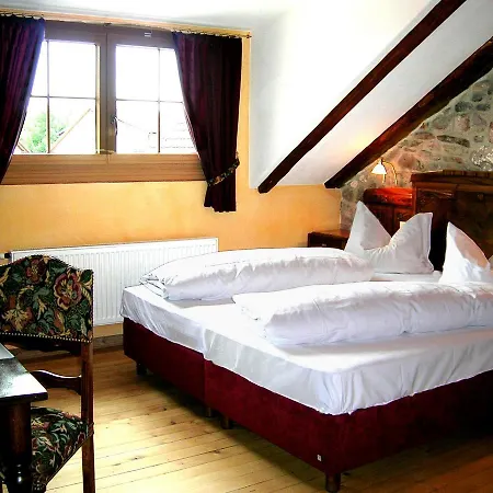 Historisches Genusshotel Loewen 3* Schopfheim